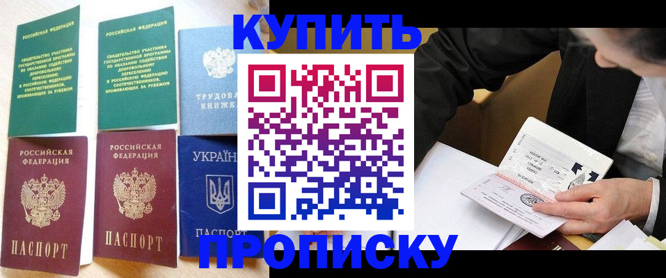 прописка для школы в Сочи